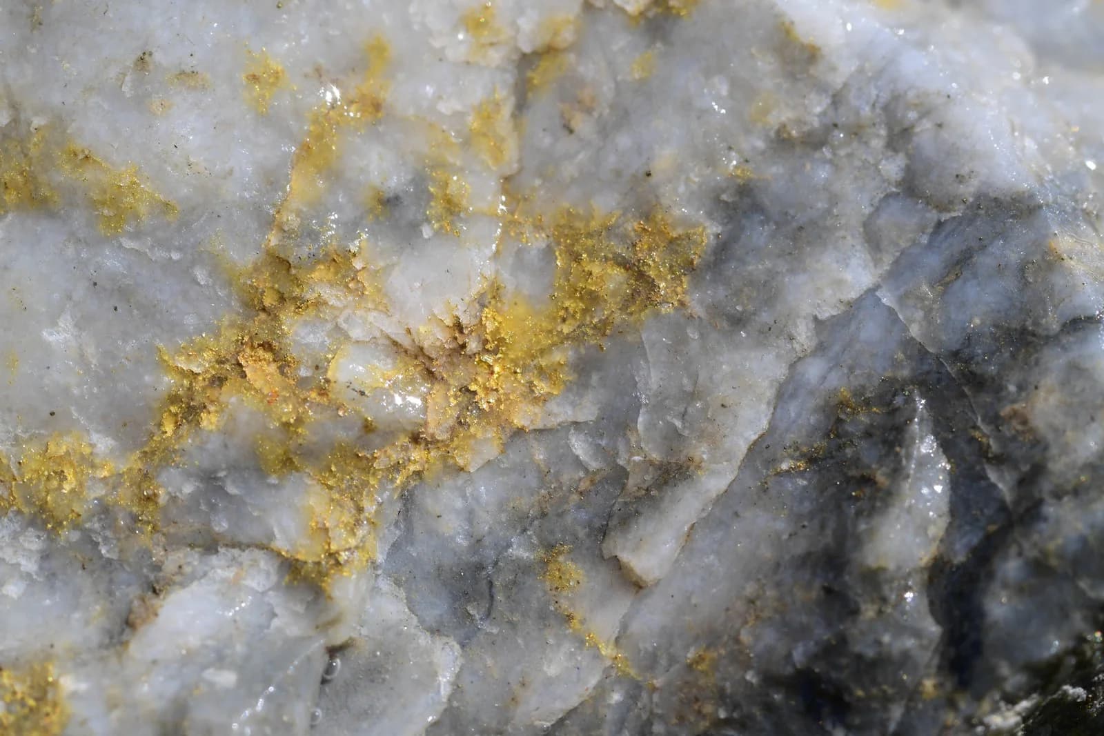 Visible gold mineralization in quartz vein from Cameron Project