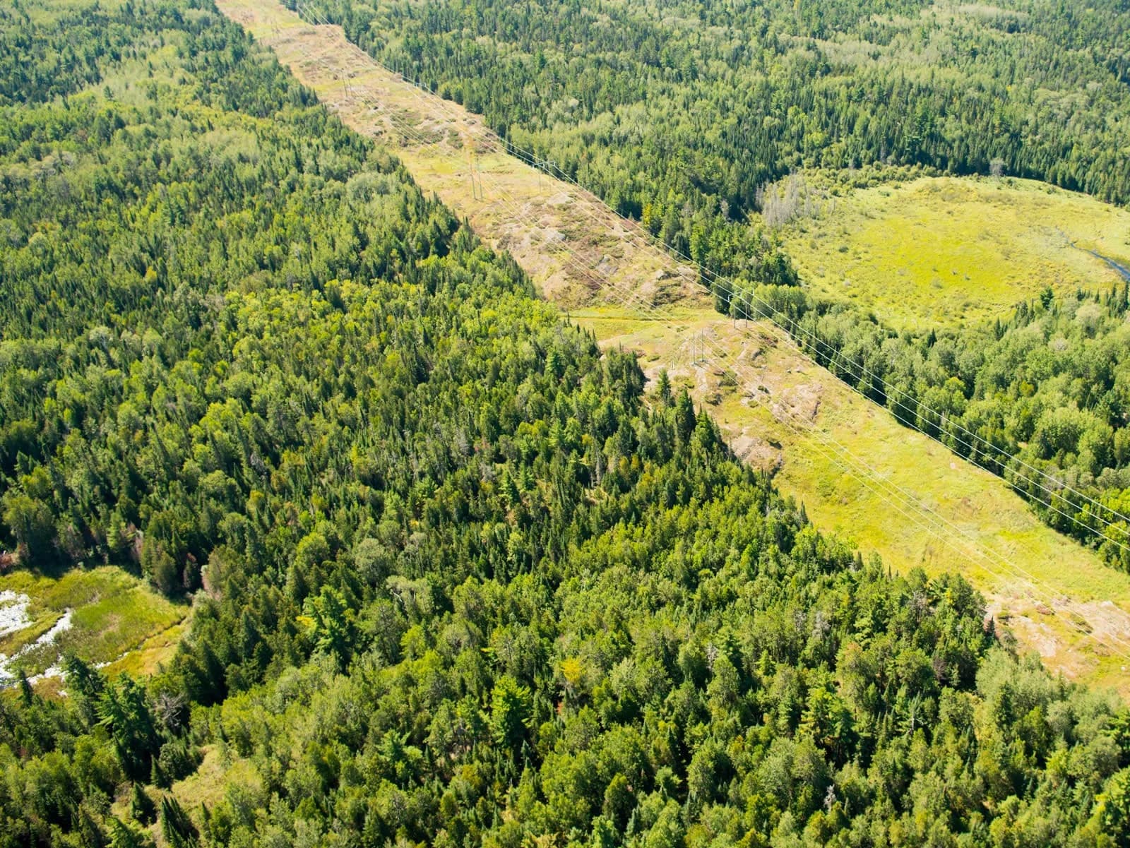 Power line corridor through boreal forest near Cameron Project